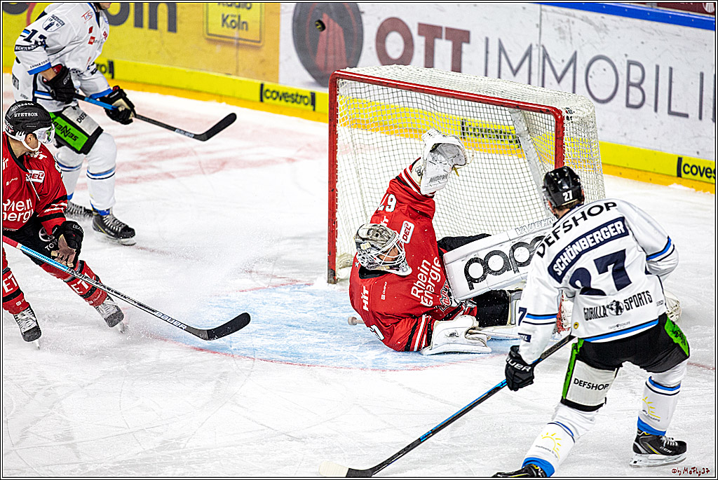DEL; Koelner Haie - Straubing Tigers; Koeln, 17.11.2019